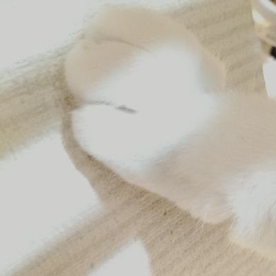 山子2さんのプロフィール画像