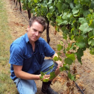 Viticulturist, Old Bush vine Grenache from my own site Vinya Vella. PhD viticulture. I don’t hang here much go— @gdylla on Instagram or @vinya_vella