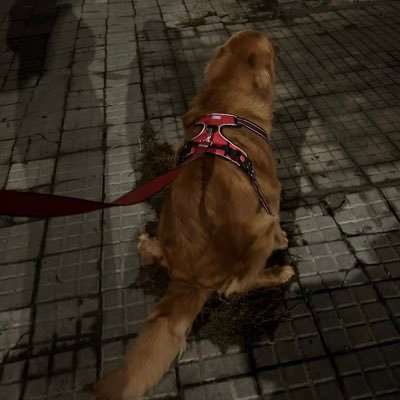 churroniii's profile picture. 