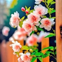 BaaaT Sirf JanooN ki(@ur janooN ko sab janty hain) (@asif6157) 's Twitter Profile