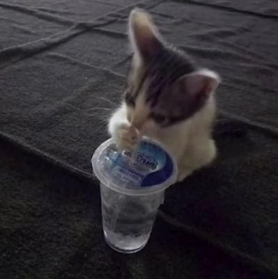 Shinuchan's profile picture. Cinematography and writing enthusiast