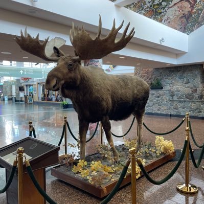 scratchthat20's profile picture. 