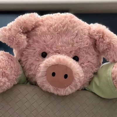 kxnmini's profile picture. 