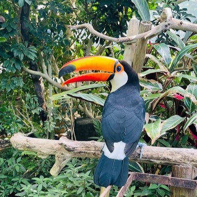 n5er41OmmOB2kwE's profile picture. SaaS｜セールス｜情報収集