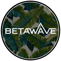 BetaWave Studios (@betawavestudios) 's Twitter Profile Photo BetaWave Studios (@betawavestudios) 's Twitter Profile Photo