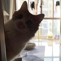 Ferali (@feraligamr) 's Twitter Profile Photo Ferali (@feraligamr) 's Twitter Profile Photo