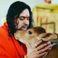 Swami Balmukundacharya (Modi Ka Parivar) (@bmacharyabjp) 's Twitter Profile Photo Swami Balmukundacharya (Modi Ka Parivar) (@bmacharyabjp) 's Twitter Profile Photo