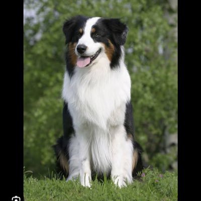 nzrobbie's profile picture. 