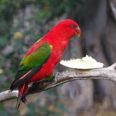 GondwanaSpirit's profile picture. 