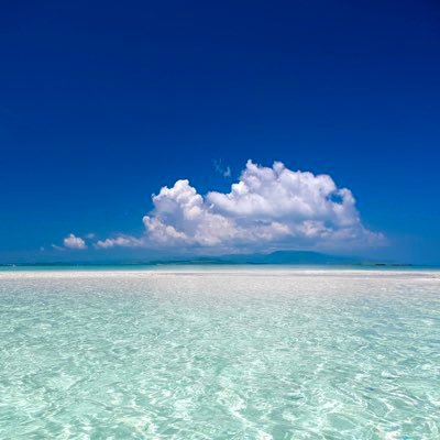 会計事務所勤務/税理士受験生/R5財務諸表論✖️R6財務諸表論&簿記論 結果待ち/20代/地方住みのため独学で勉強中 どうぞよろしくお願いします!