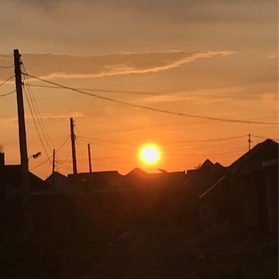 tungee102's profile picture. Gratitude💎