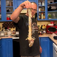 Jim Kerr (@tortusexponntl) 's Twitter Profile Photo