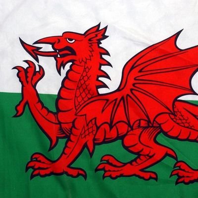Proudest Dad, 🏴Welsh, ex Artillery, Gooner, Mountain Biker, Brexiteer. #NeverLabour #ScumMedia #VoteReform