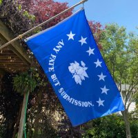 The Secessionist (@secessionist81) 's Twitter Profile