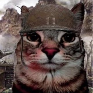 TechTipsFan's profile picture. 