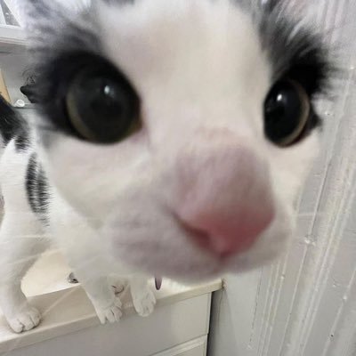 GhostiArtz's profile picture. Fuck it, art (sometimes) | I’m 18 and quite neurodivergent :3 | ENG | Don’t expect frequent posts, I’m not punctual | pls don’t repost/steal my art, thanks