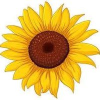 Sun Flowers (@antiracistmday) 's Twitter Profile