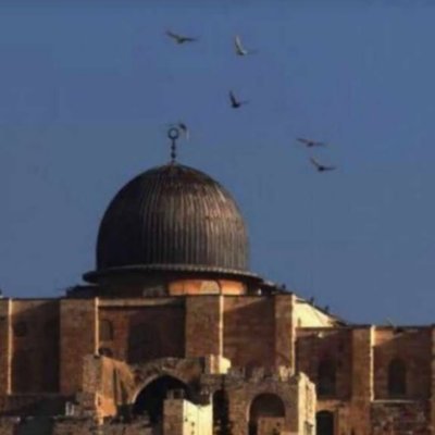 Iamluckyinparis's profile picture. 