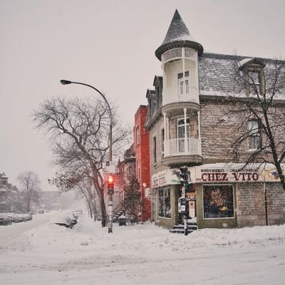 DrizzillYa66472's profile picture. 