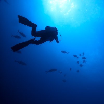 ジェネロ株式会社 技術本部本部のなんでも屋さん | Drupal | Mautic | スキューバダイビング