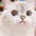 ์์ด (@6yeji_) Twitter profile photo ์์ด (@6yeji_) Twitter profile photo