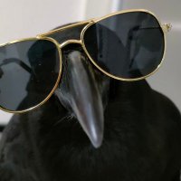 Gaé Bolg 🔞 on Bsky (@sitenlov) Twitter profile photo