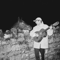 lullahush (@lullahush) 's Twitter Profile