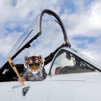 Freizeitpilot ๐ช๐บ ๐บ๐ฆ ๐ฎ๐ฑ๐๏ธ๐ (@freizeitpilot) 's Twitter Profile
