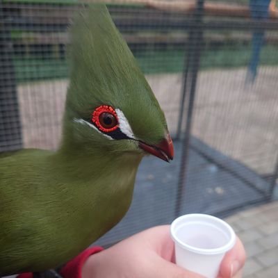 masuna_en's profile picture. ITエンジニア。好きなことは食べること、登山、旅行、ゲームなど🐧保有⇒IP/SG/FE/Java Silver🐑挑戦中⇒AP/AWS?
