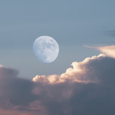moon267891's profile picture. 