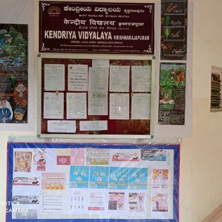 kvkrpuram's profile picture. KENDRIYA VIDYALAYA K R PURAM