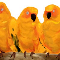 Birdman🎨🖌🦜 (@birdman_poppo) Twitter profile photo