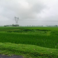 Pankaj Yadav (@pankajyadav5213) 's Twitter Profile