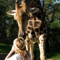 Kari Lundgren (@twigalundgren) 's Twitter Profile