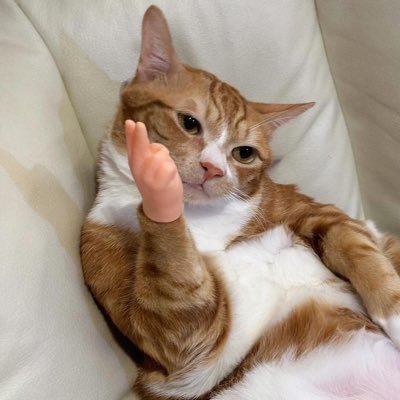 trashmoses's profile picture. 한국의 펑크사람 타투사람 韓国レーベル@wdikorea1代表、タトゥーイスト、@wtmpunkベース、スカパンク@mgwpunk ボーカル&リーダー。 翻訳機で会話中。Eng. is way easier to talk.;)