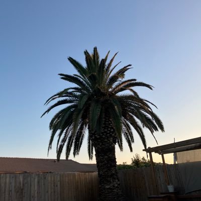 M0511Sena's profile picture. 07’(18)🚹 🏴海外大/IELTS7.5 IBDP N25 @52Hz_world