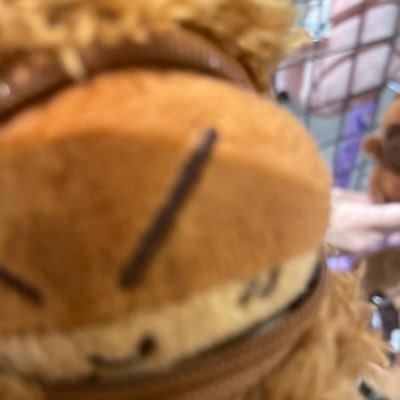 ホさんのプロフィール画像