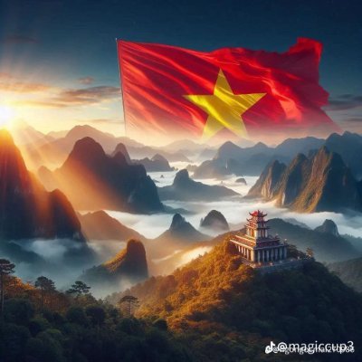 HaViet479's profile picture. (🧙,🧙) 
🧙,⛺
🧙