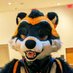 Custard (@shinycustard) Twitter profile photo Custard (@shinycustard) Twitter profile photo