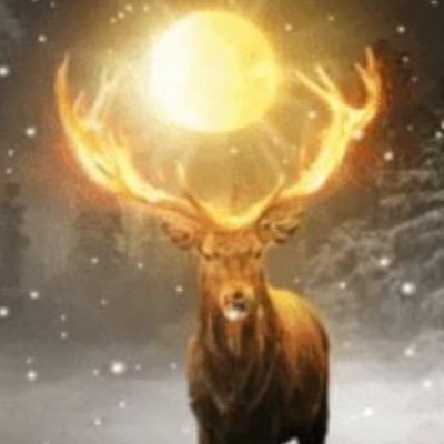 cote_clair91111's profile picture. Le silence de l’esprit amérindien