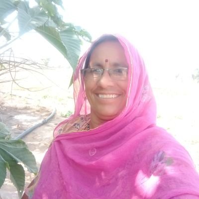 kamalachou62451's profile picture. 