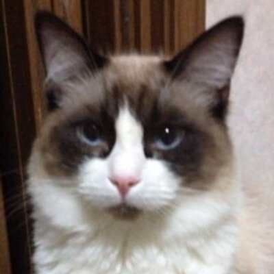 如月ゆすら Work Yusurakisaragi Twitter 如月ゆすら Work Yusurakisaragi Twitter