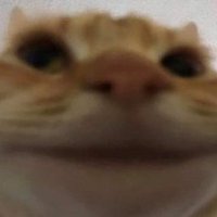 Mandioca Animator (@mandiocaanim) 's Twitter Profile
