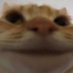 Mandioca Animator (@mandiocaanim) Twitter profile photo Mandioca Animator (@mandiocaanim) Twitter profile photo