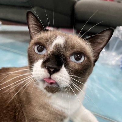 ninewt266122's profile picture. 