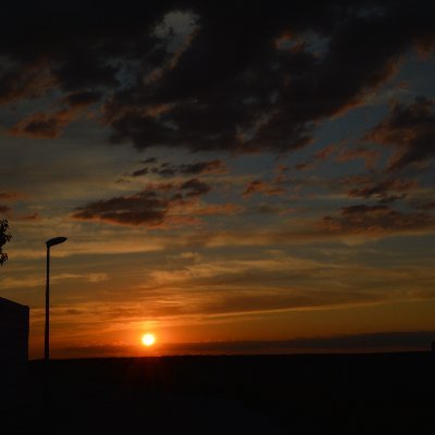 maxdatareal's profile picture. 