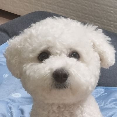 와인さんのプロフィール画像