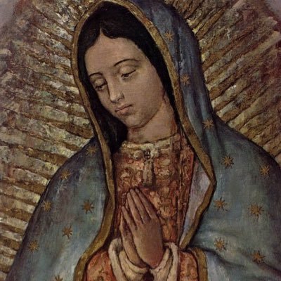 LMnewest2323's profile picture. Benedictine oblate & student iconographer. I foster rats for an animal rescue🐀 Had to delete my previous account for safety reasons. Looking for my old friends