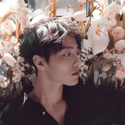 Li Tian yu. singer, Actor. ( Parody account, Not Xiao Zhan or)