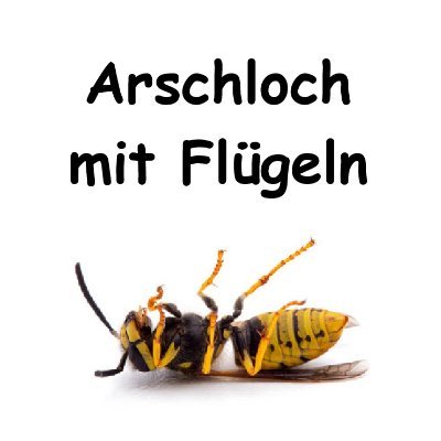 stupid_wasp 🔆🏳️‍⚧️🇵🇸さんのプロフィール画像